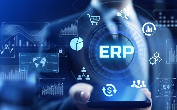 Fall in Love with your ERP System